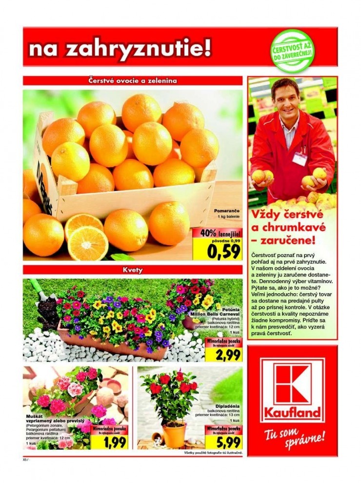 letk Kaufland pecilna ponuka strana 5